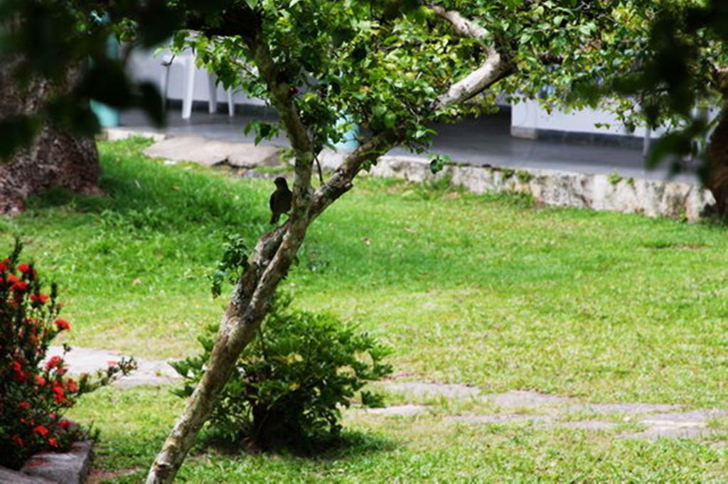 Pousada Sitio Paraiso Itacaré Eksteriør bilde